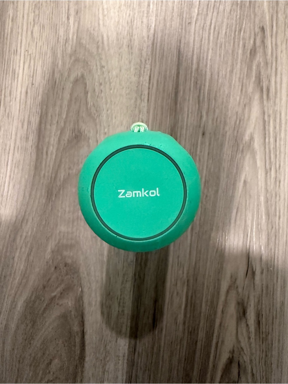 Portable Bluetooth Speaker - green/turquoise